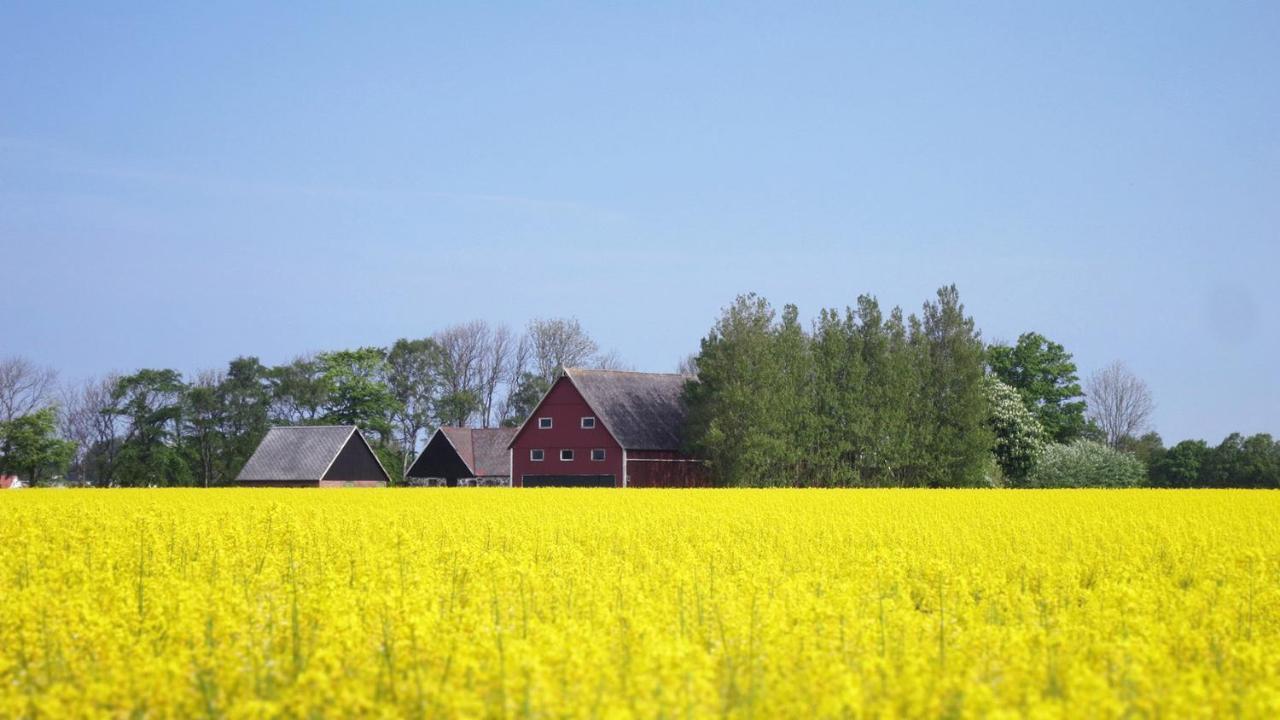 Vikens Bed And Breakfast Viken  Buitenkant foto